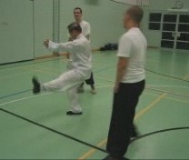 combat application of Xiao Hung Quan