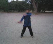 Wahnam Taijiquan