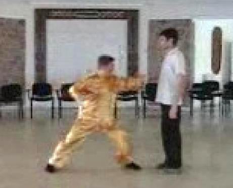 Wahnam Taijiquan