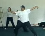 Taijiquan Single Whip